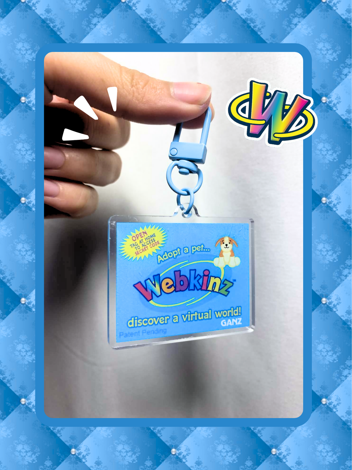 Webkinz Tag Keychain